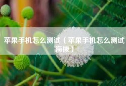 苹果手机怎么测试（苹果手机怎么测试海拔）