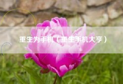 重生为手机（重生手机大亨）
