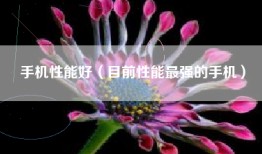 手机性能好（目前性能最强的手机）