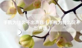 手机为什么不出声音（手机为什么说不出声音）