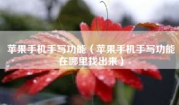 苹果手机手写功能（苹果手机手写功能在哪里找出来）