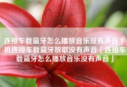 连接车载蓝牙怎么播放音乐没有声音手机连接车载蓝牙放歌没有声音「连接车载蓝牙怎么播放音乐没有声音」