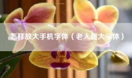 怎样放大手机字体（老人超大字体）