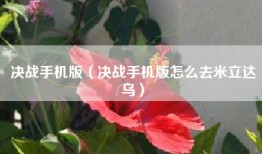 决战手机版（决战手机版怎么去米立达乌）