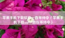苹果手机下载软件一直等待中（苹果手机下载app一直在等待中）