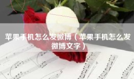 苹果手机怎么发微博（苹果手机怎么发微博文字）