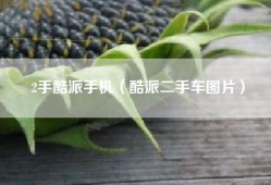 2手酷派手机（酷派二手车图片）