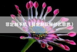 非定制手机（非定制款是什么意思）