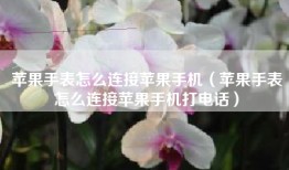苹果手表怎么连接苹果手机（苹果手表怎么连接苹果手机打电话）