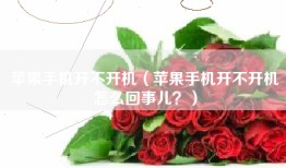 苹果手机开不开机（苹果手机开不开机怎么回事儿？）