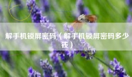 解手机锁屏密码（解手机锁屏密码多少钱）