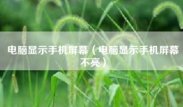电脑显示手机屏幕（电脑显示手机屏幕不亮）