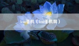 lcm手机（lcm手机屏）