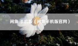 闲鱼 手机版（闲鱼手机版官网）