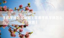 手机字体怎么设置（苹果手机字体怎么设置）