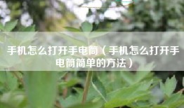 手机怎么打开手电筒（手机怎么打开手电筒简单的方法）