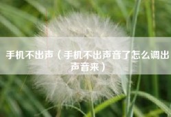 手机不出声（手机不出声音了怎么调出声音来）