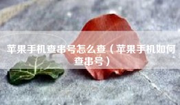 苹果手机查串号怎么查（苹果手机如何查串号）