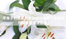 苹果手机怎么设置截屏快捷键（苹果如何设置截屏快捷键）