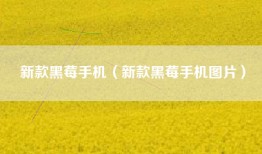 新款黑莓手机（新款黑莓手机图片）