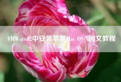 VMWare12中安装苹果Mac OS X图文教程