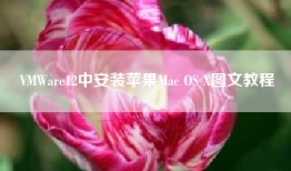 VMWare12中安装苹果Mac OS X图文教程
