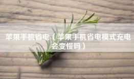 苹果手机省电（苹果手机省电模式充电会变慢吗）