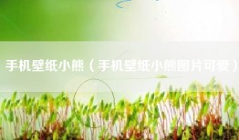 手机壁纸小熊（手机壁纸小熊图片可爱）