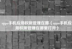 oppo手机应用权限管理在哪（oppo手机应用权限管理在哪里打开）