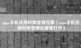 oppo手机应用权限管理在哪（oppo手机应用权限管理在哪里打开）