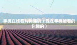 手机在线看片你懂的（现在手机能看的你懂的）