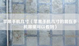 苹果手机几寸（苹果手机几寸的屏在手机哪里可以看到）