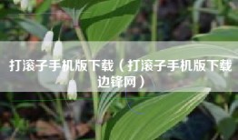 打滚子手机版下载（打滚子手机版下载边锋网）