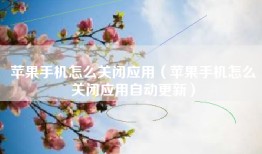 苹果手机怎么关闭应用（苹果手机怎么关闭应用自动更新）