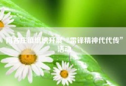 闫各庄镇组织开展“雷锋精神代代传”活动