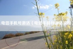 电信手机号激活（电信手机号激活流程）