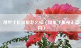 糖果手机质量怎么样（糖果手机是正品吗）