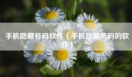 手机隐藏号码软件（手机隐藏号码的软件）