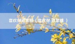喜欢你邓紫棋（喜欢你 邓紫棋 ）