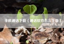 手机通话下载（通话软件怎么下载）