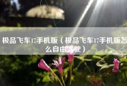 极品飞车17手机版（极品飞车17手机版怎么自由驾驶）