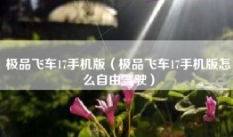 极品飞车17手机版（极品飞车17手机版怎么自由驾驶）