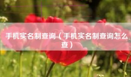 手机实名制查询（手机实名制查询怎么查）