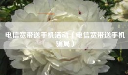 电信宽带送手机活动（电信宽带送手机骗局）