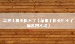 苹果手机关机不了（苹果手机关机不了屏幕按不动）