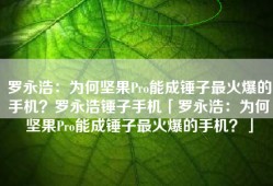 罗永浩：为何坚果Pro能成锤子最火爆的手机？罗永浩锤子手机「罗永浩：为何坚果Pro能成锤子最火爆的手机？」