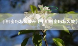 手机密码怎么破开（手机的密码怎么破）