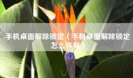 手机桌面解除锁定（手机桌面解除锁定怎么恢复）