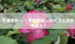 苹果手机raw（苹果手机raw格式怎么传到电脑上）