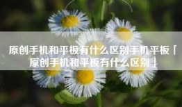 原创手机和平板有什么区别手机平板「原创手机和平板有什么区别」